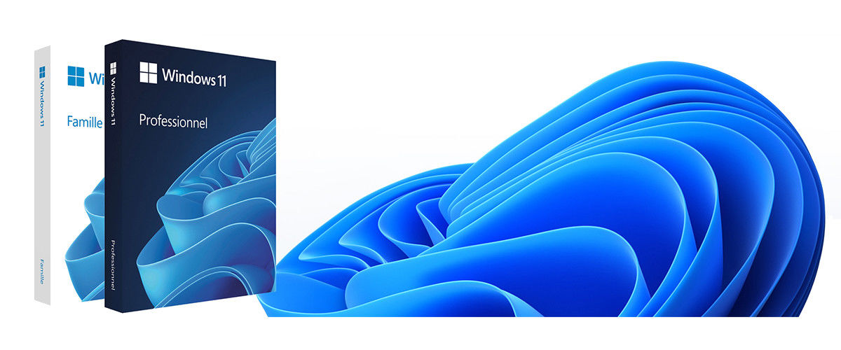 China best Windows 11 Pro OEM on sales